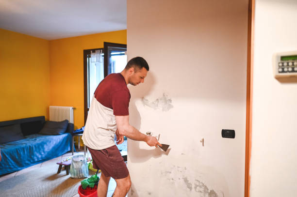Mold Removal and Inspection in Cross Plains, TN