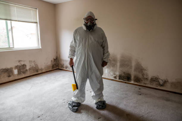 Best Attic Mold Removal  in Cross Plains, TN